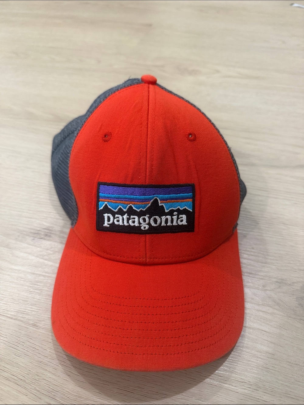Patagonia Front with Gray Mesh Trucker Cap